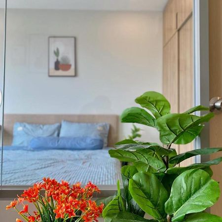 The Song Apartment Vung Tau - Boo Boo Homestay Eksteriør billede