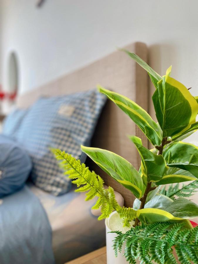 The Song Apartment Vung Tau - Boo Boo Homestay Eksteriør billede